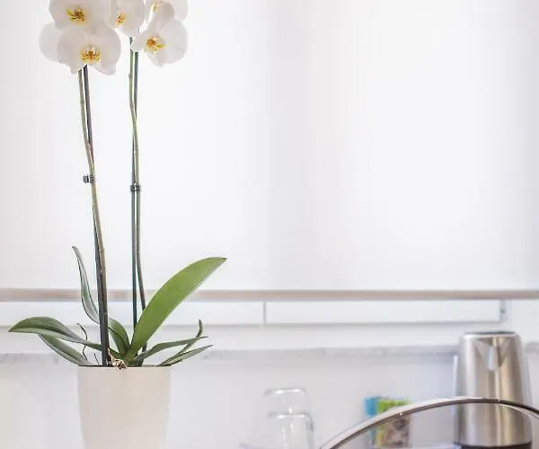 Pensjonat Garibaldi 4*