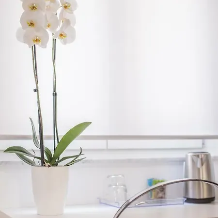 Pensionat Suitesgaribaldi 4*